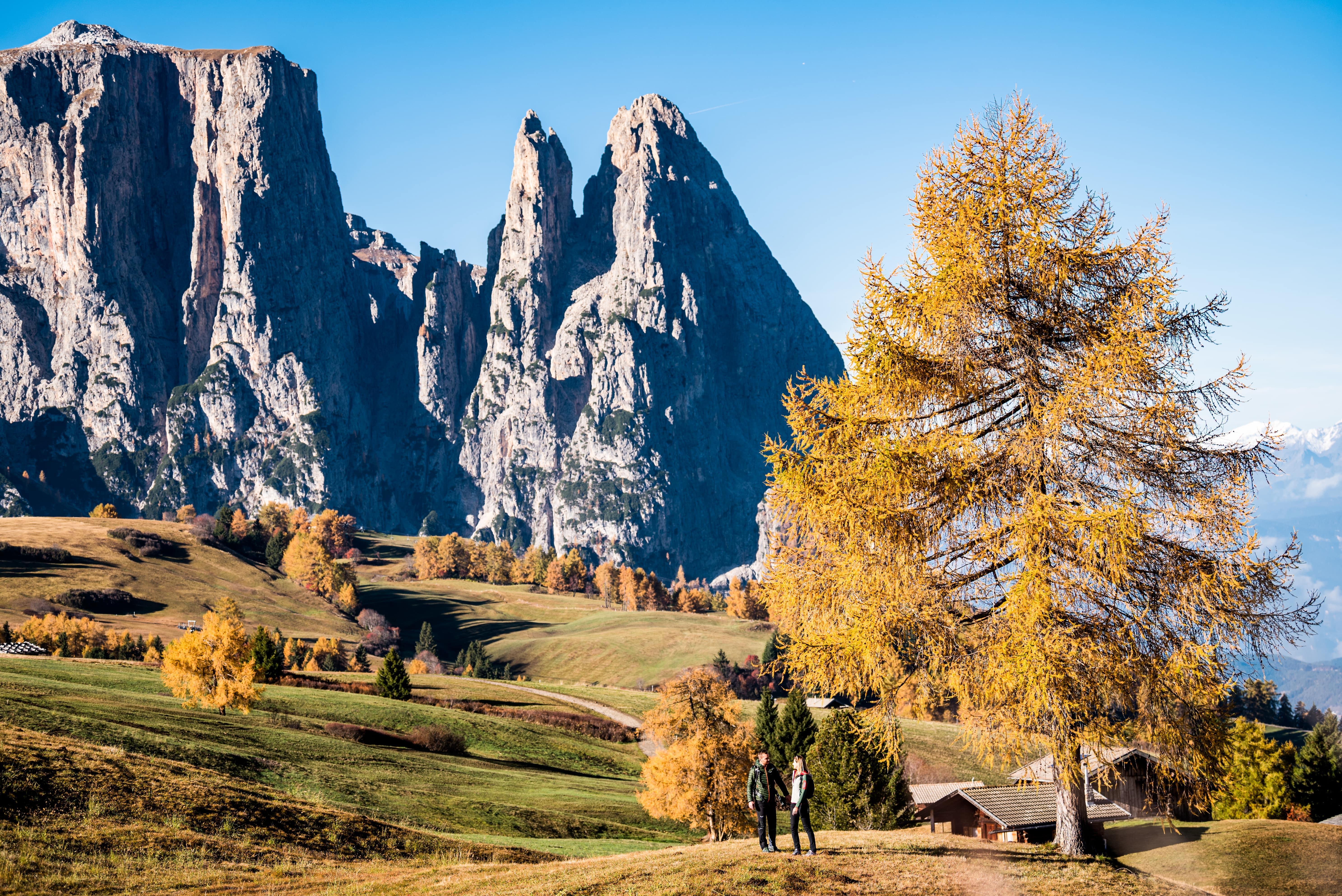Hotel Steger-Dellai Alpe Di Siusi Esterno foto