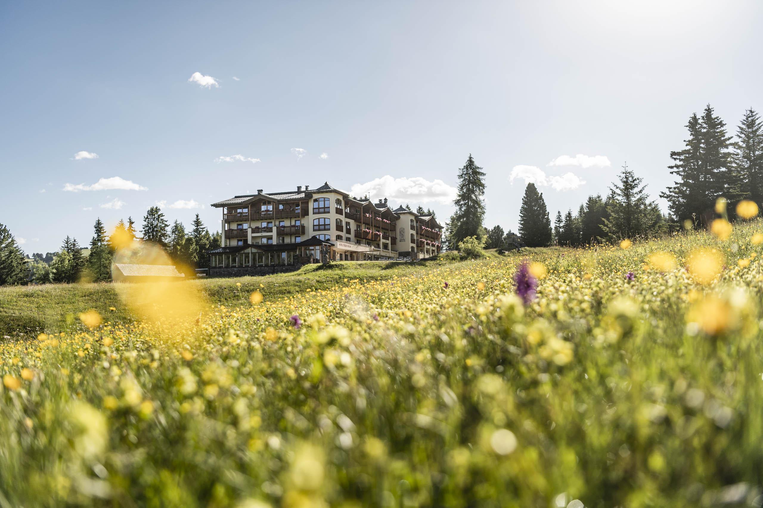 Hotel Steger-Dellai Alpe Di Siusi Esterno foto